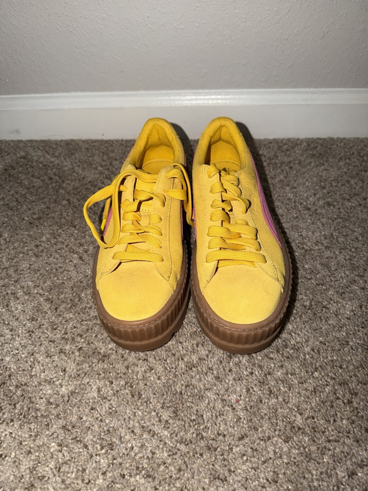 Puma Platform - image 3