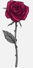 Red Rose Stem Thorn Flower Stickers 4 Labels Card Gift Craft Paper Journal