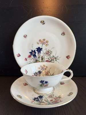 Vintage Wunsiedel Bavaria Porcelain Tea Trio Floral Cup Saucer Plate Germany