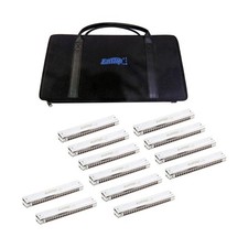East top Tremolo Harmonica Set of 12 Keys 24 Holes Professional Tremolo Mouth...