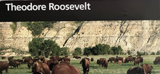 Vintage 2004 THEODORE ROOSEVELT - ND NATIONAL PARK SERVICE UNIGRID BROCHURE/MAP