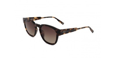 Fila SFI310V Shiny havana 51/21/140 UNISEX Sonnenbrillen