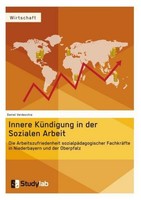 Innere KüNdigung In Der Sozialen Arbeit Daniel Verdecchia
