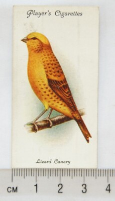 1933 John Player & Sons Voliere & Käfigvögel 9 Echsen Kanarienvogel