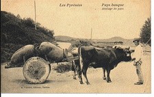 (S-33533) FRANCE - 64 - NON SITUEE CPA ATTELAGE DE BOEUFS     VILLATTE A. ed.
