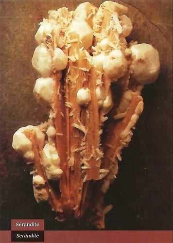 Postcard Serandite Analcime Natrolite Mont Saint-Hilaire Quebec Geology MINT - 第 1/1 張圖片
