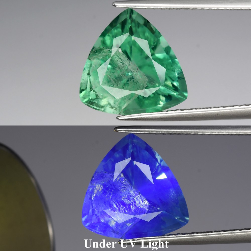 7.16ct UV Color Change Natural Green Fluorite Trillion Gemstone