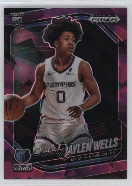 2024-25 Panini Prizm Black Purple Ice 119/149 Jaylen Wells #34 Rookie RC g9t