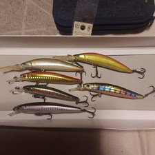 Sakuramasu, set of 6 main stream minnows
