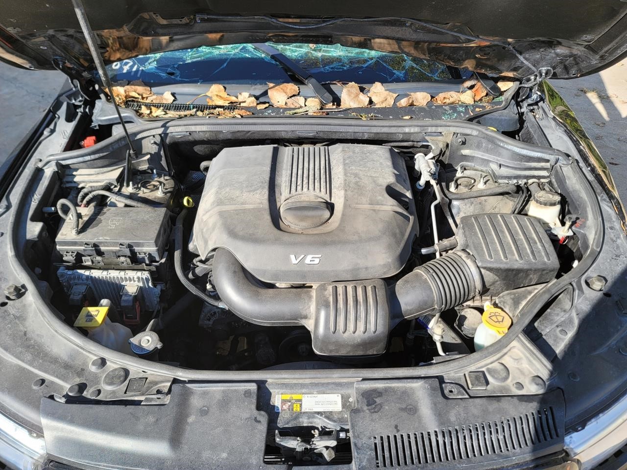 Picture 4