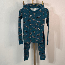 Hanna Andersson- Teal Dinosaur Kids Pajama Set- Size 12