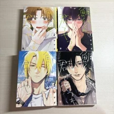 Tashiro-kun, Kimitte Yatsuwa Vol.1-4 Set Yamada  Japanese BL Manga Book Comic
