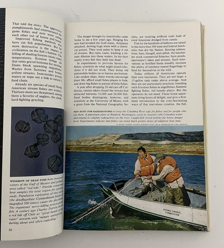Wondrous World Of Fishes Hardcover Book National Geographic Society Enlarged - Imagen 6 de 8