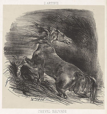 France Horse Anatomy Art Poster 1828 Wild Horse by Eugene Delacroix