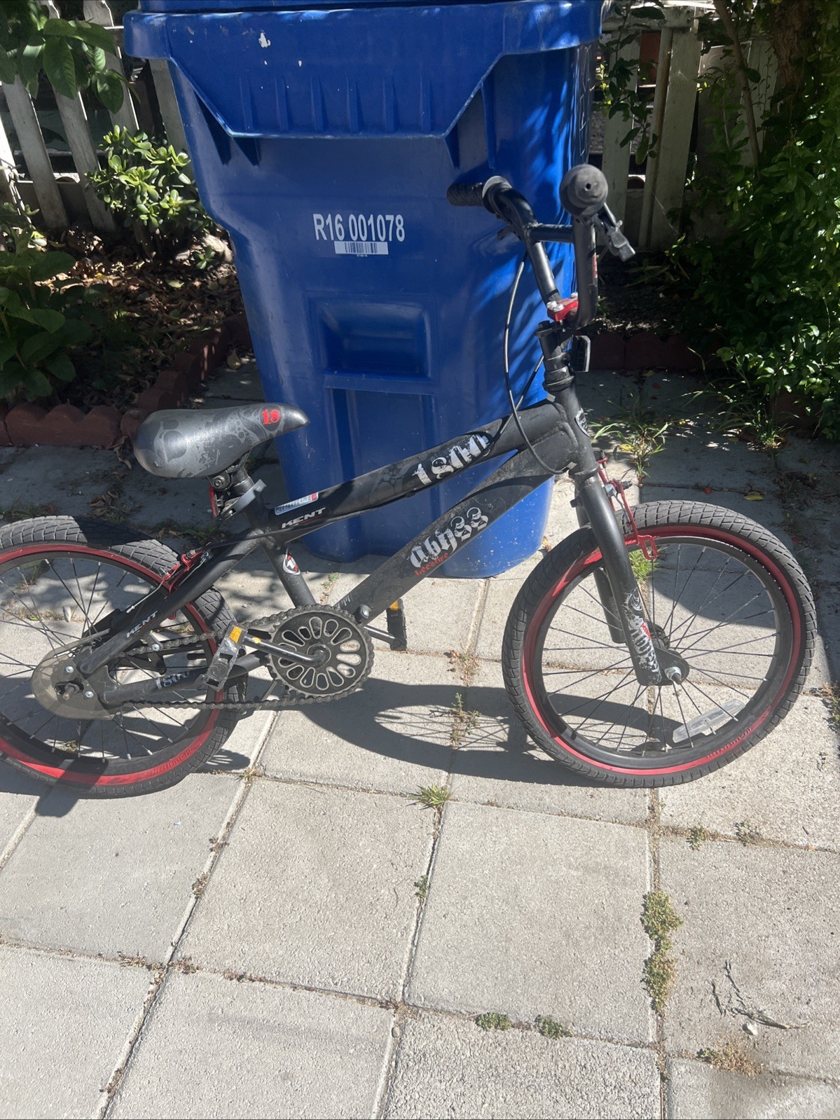 Pedal Bike