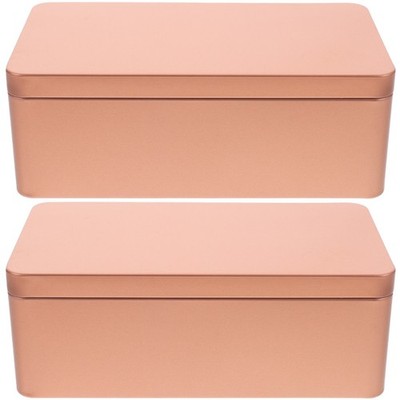2 Pcs Tinplate Storage Box Small Bins with Lids Empty Cookie Tins