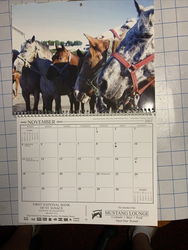 Seasons Of Mackinac 2007 Calendar - 第 15/24 張圖片