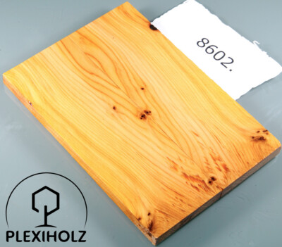 Thuja Maser Griffschalen stabilisiert | 120x40x8 | plexiholz | burl scales |8602