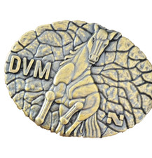 Men's Vintage Solid Brass Belt Buckle Horse Stallion Cowboy Western Rodeo USA