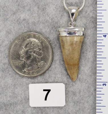 Dinosaur MOSASAURUS TOOTH PENDANT $69 Sterling Silver Jewelry STARBORN CREATIONS