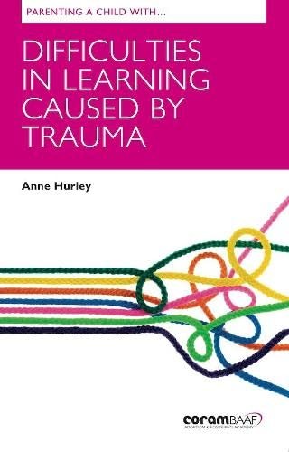 Parenting A Child With Difficulties In Learning Caused By Trauma - Image 6