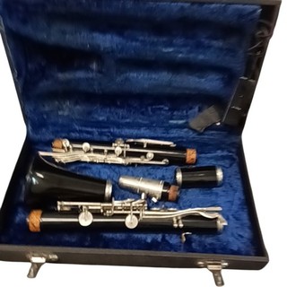 Clarinet with Case and Accessories Ideal for Music Students