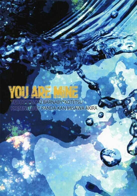 Doujinshi Panda Can Akatsuki Misawa You Are Mine Tiger And Bunny Ti Ebay