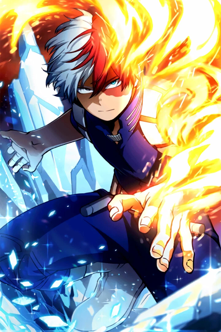 My hero sale academia shoto todoroki
