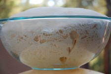 UNIQUE SOURDOUGH STARTER yeast San Francisco BEAST RECIPES Fresh 21