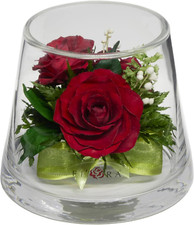 Fiora Flower  Long Lasting Real Roses in a Sealed Vase  Lasts up to 5 Years 