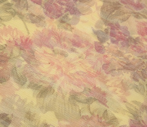 Sushila Vintage Cream Net Mesh Saree Printed with Embroidered Border Sari Fabric - Picture 6 of 10