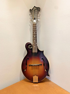 The Loar LM 590 MS F style mandolin