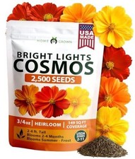 Cosmos Bright Lights Mix Seeds – 2500 Cosmos Sulphureus for Planting Spring