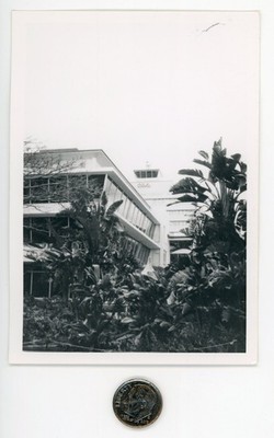 Old 1970's photo / HAWAIIAN AIRPORT Invaded by Alien Plant Life - ALOHA Me Arse