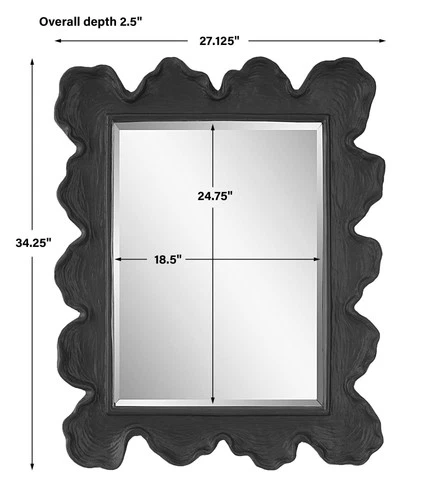 Sea Coral Natural Black 27 1/4" x 34 1/4" Wall Mirror - Picture 4 of 8