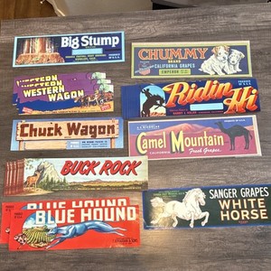 LOT- Vintage Fruit Crate Labels; Camel Mountain, Blu Hound, Ridin Hi, Big Stump