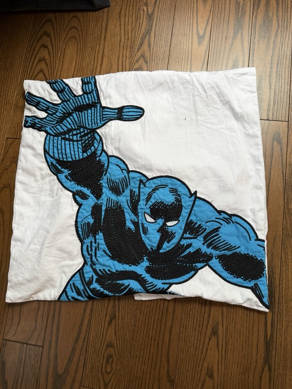Pottery Barn Kids Black Panther Pillow Case