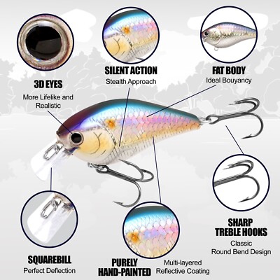 LUCKY CRAFT LC 1.5 - 777 CF Zebra Ghost Green Sea Trout (1qty
