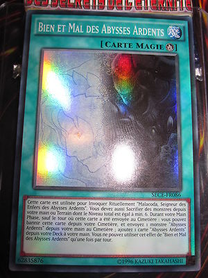 YU-GI-OH! SUPER RARE FRENCH GOOD AND EVIL OF THE BURNING ABYSSES SECE-FR086 NEW