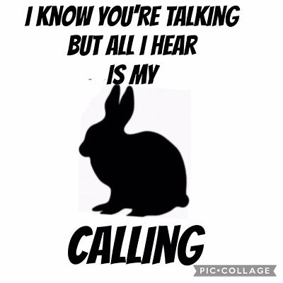 rabbit accessories ebay