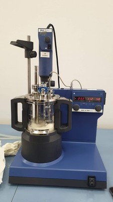 IKA LR 1000 Lab Reactor (220V)