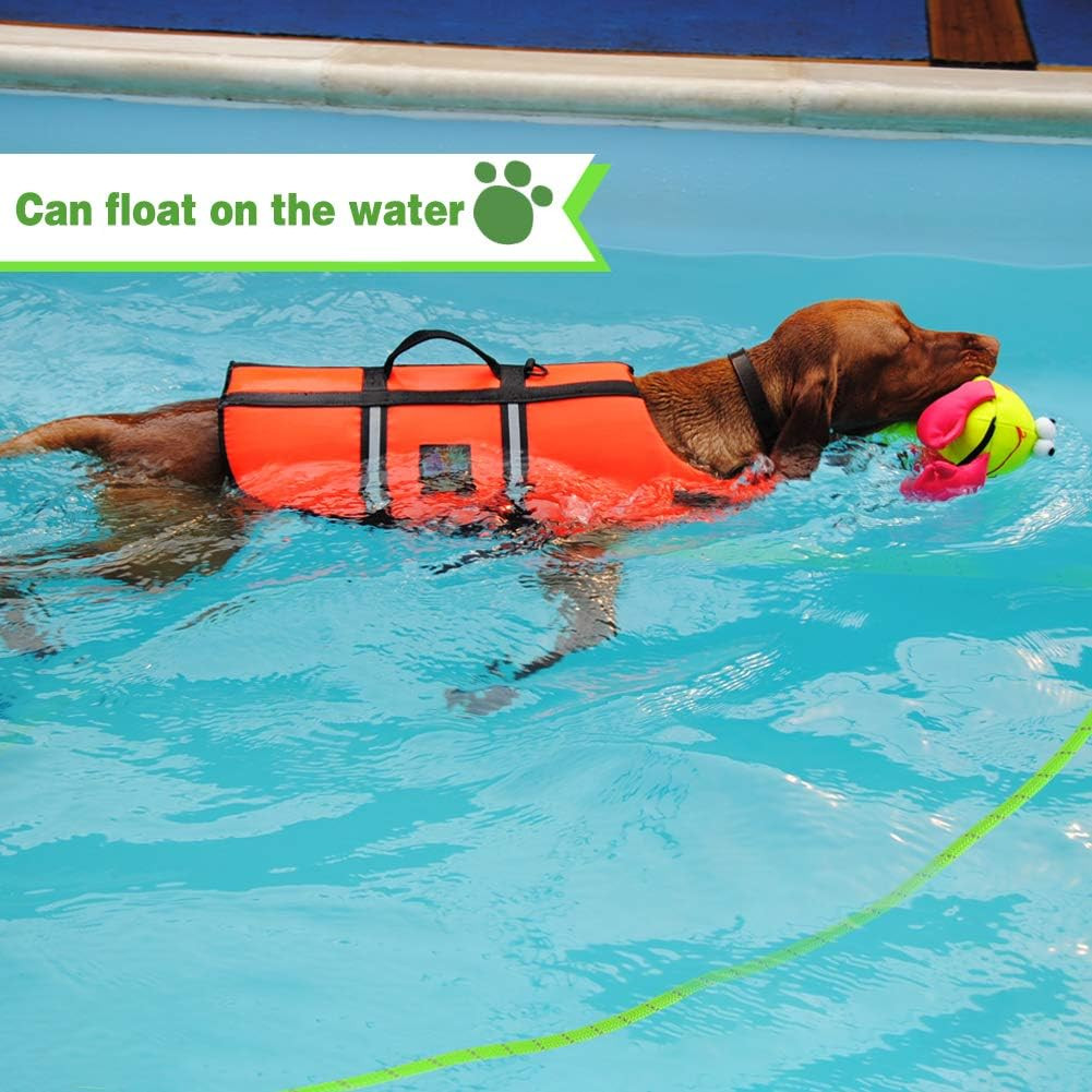 Vivifying Floating Long Dog Leash, 20Ft Dog Training Leash for Swimming