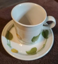 Figgjo Norway V555 Bekkeblom Cup Saucer MINT 