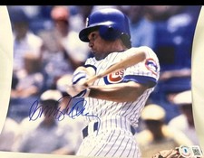 Chicago Cubs Collecting and Fan Guide 61