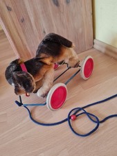 STEIFF Hund Hoppelhund Nachziehhund auf Rollen, ca. 26 cm ohne ID'S . 60er70er