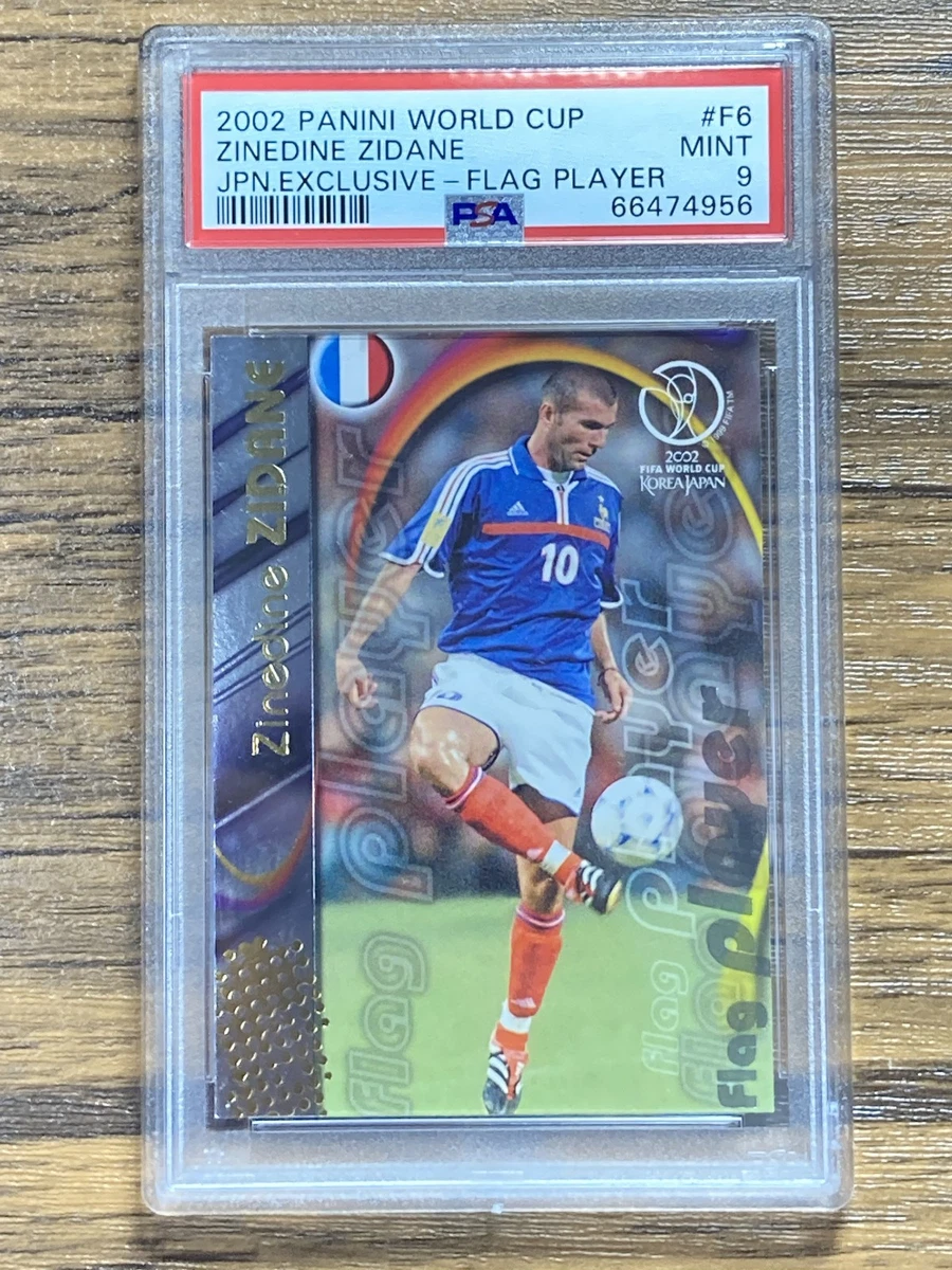 2002 Panini FIFA World Cup - Zinedine Zidane #F6 for sale | eBay