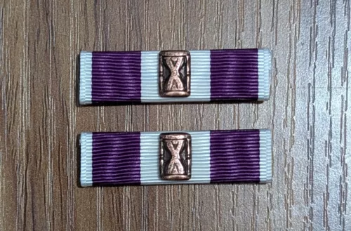 HOURGLASS! Replacement Ribbons for SGAUS Longevity -Moiré Ribbon-Set of 2