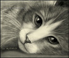 Chinese 100 real natural silk thread,su hand embroidery kits:cat 9.5"