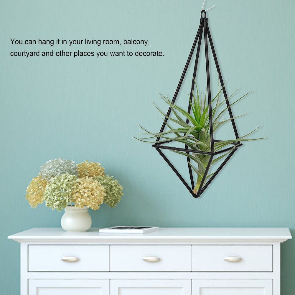 (Black)Air Plant Holder Quadrilateral Hanging Tillandsia Rack For Room Decor BL