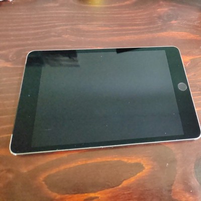 Apple iPad Mini 4 (Wi-Fi + Cellular, 128GB) Space Grau  guter Zustand MK8D2FD/A